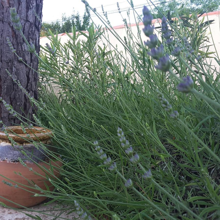 לינה וארוחת בוקר Pourrieres Philoxenia מראה חיצוני תמונה